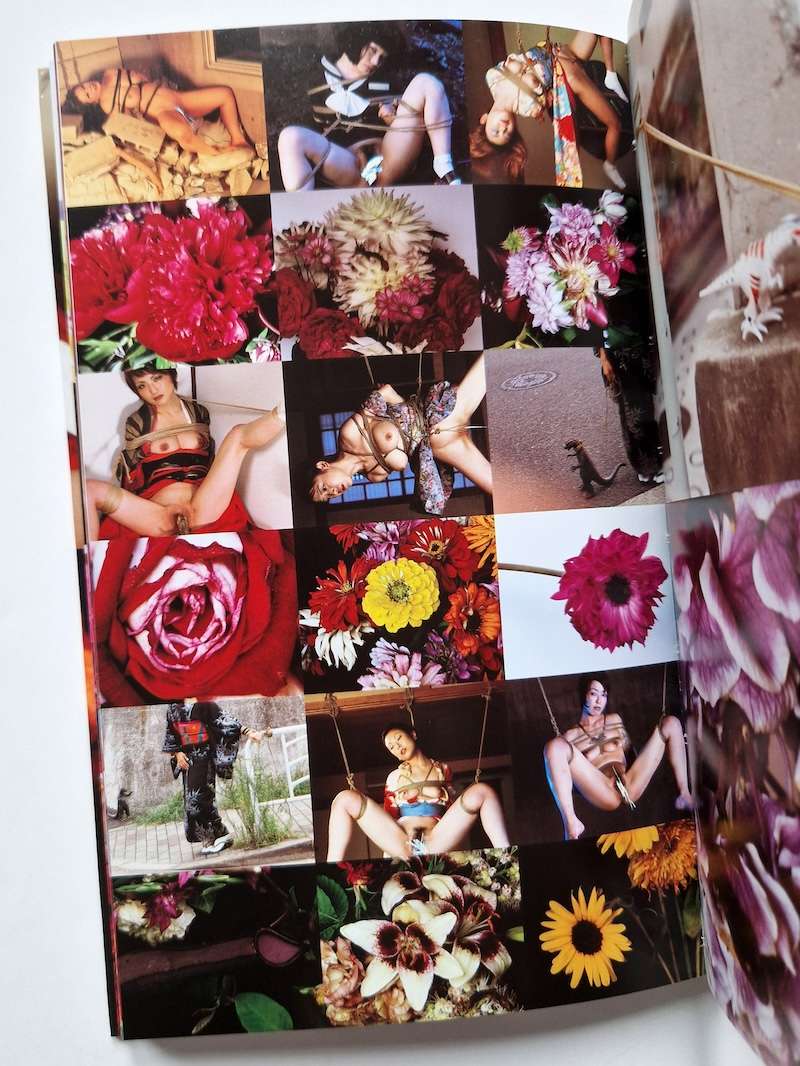 Hana Kinbaku Nobuyoshi Araki 10