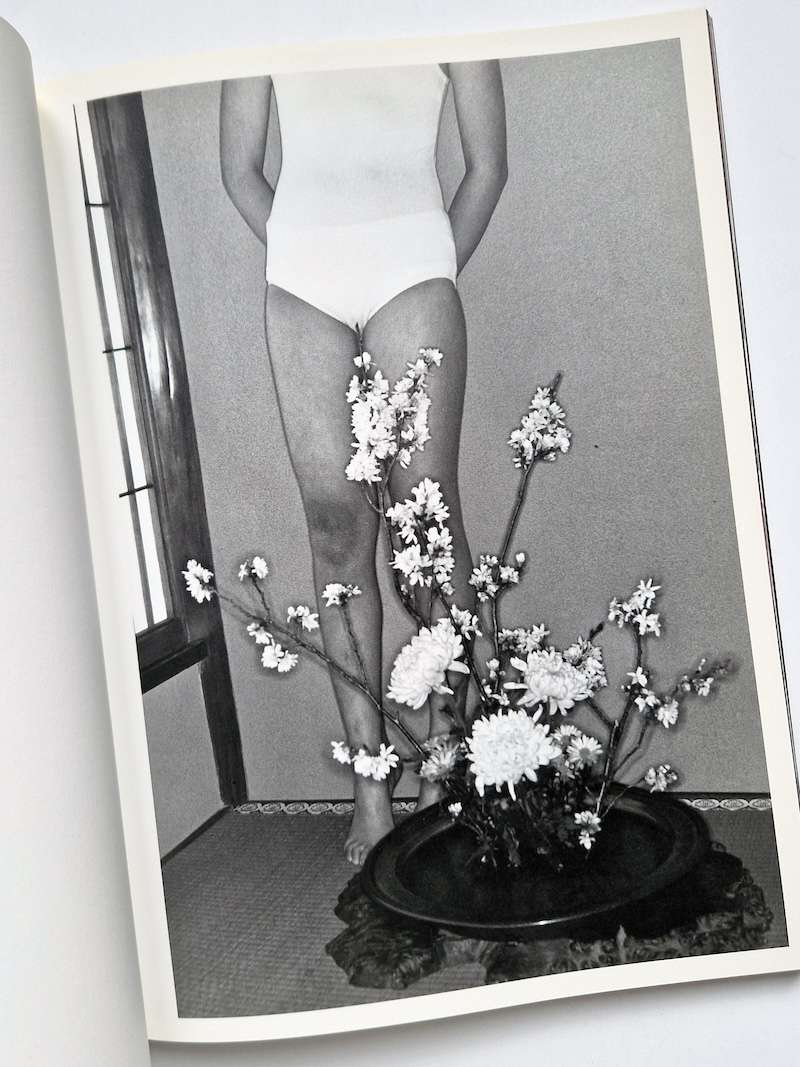 Hana Jinsei Nobuyoshi Araki 13