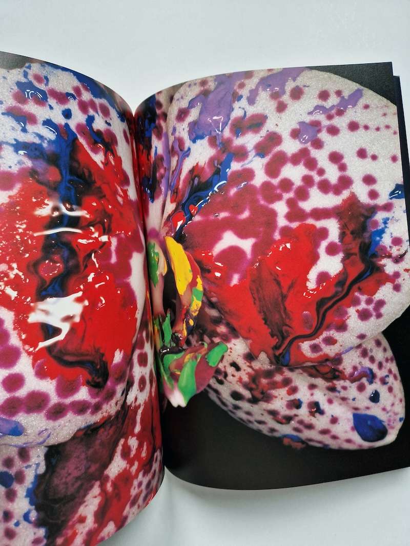 Hana Jinsei Nobuyoshi Araki 2