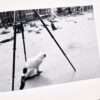 Sentimental Journey Spring Journey Nobuyoshi Araki 10