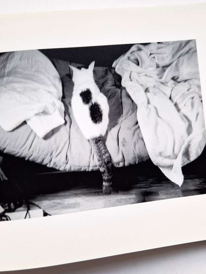 Sentimental Journey Spring Journey Nobuyoshi Araki 11