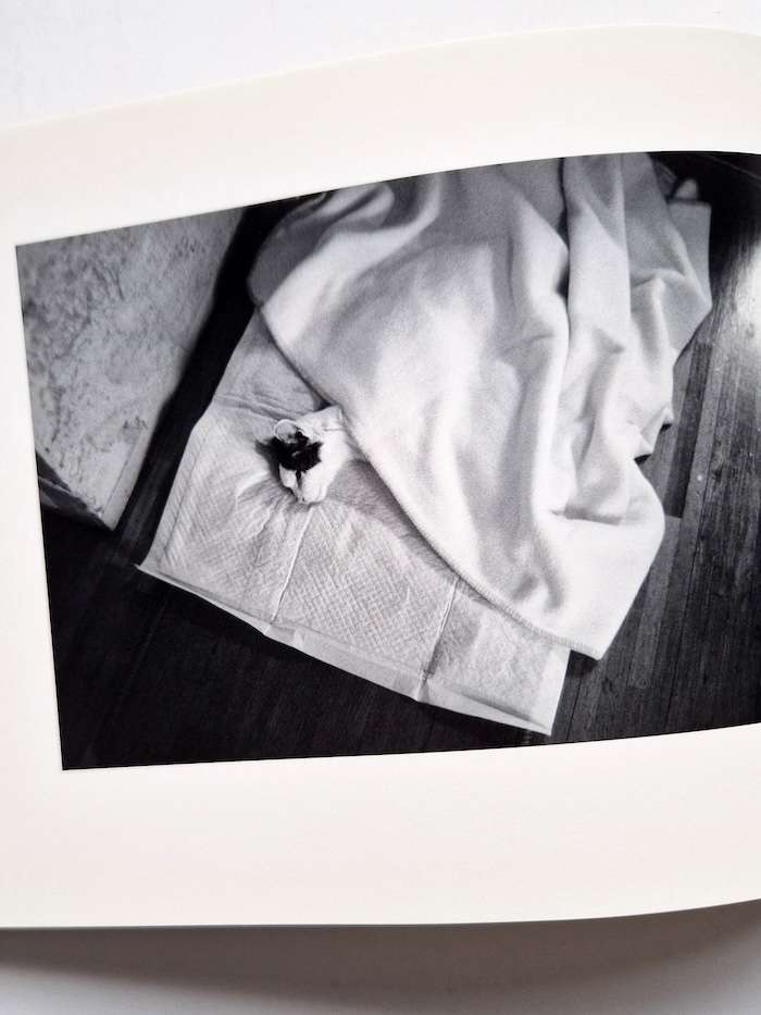 Sentimental Journey Spring Journey Nobuyoshi Araki 13