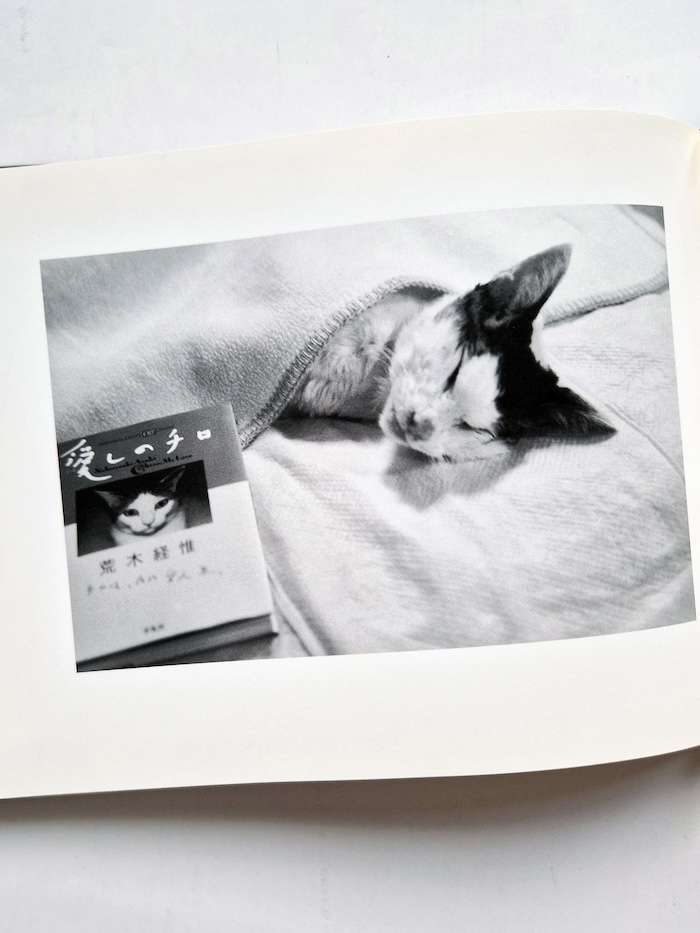 Sentimental Journey Spring Journey Nobuyoshi Araki 14