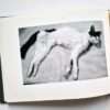 Sentimental Journey Spring Journey Nobuyoshi Araki 15