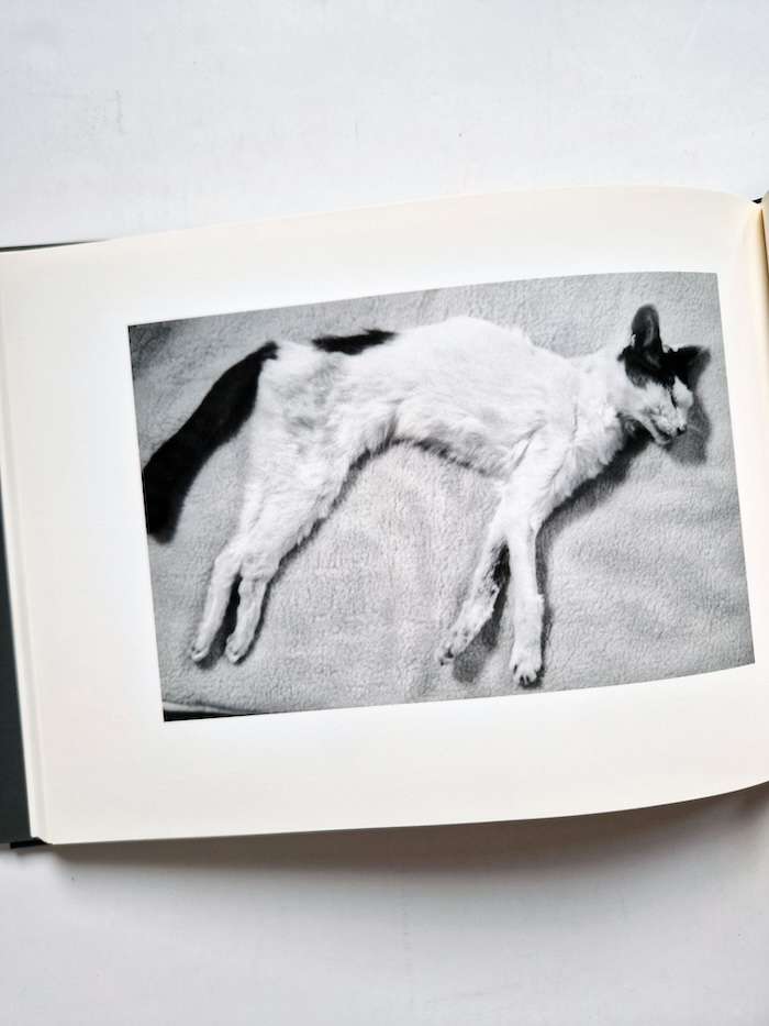 Sentimental Journey Spring Journey Nobuyoshi Araki 15