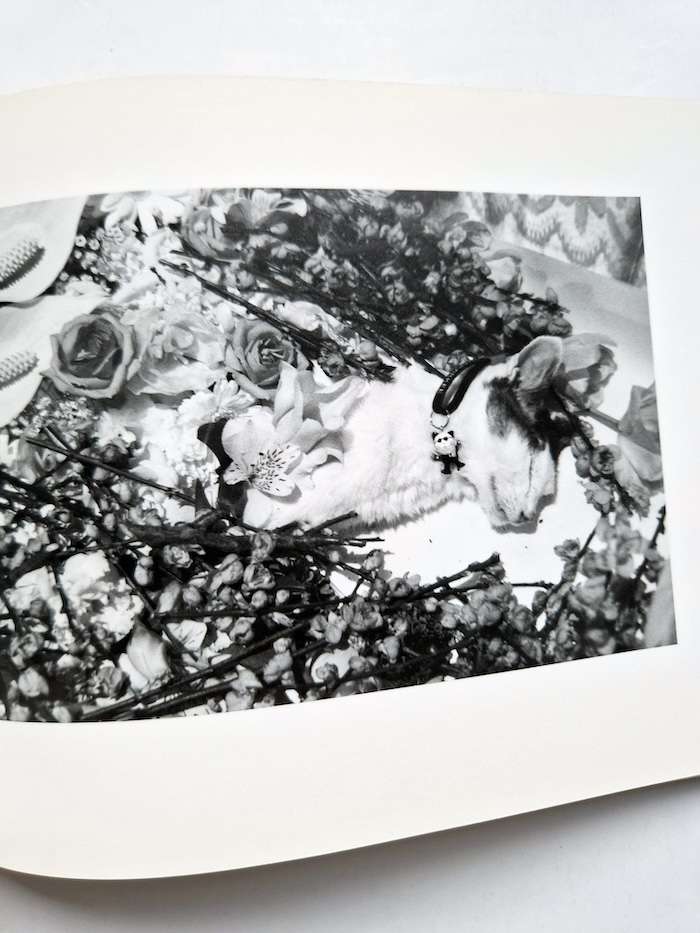 Sentimental Journey Spring Journey Nobuyoshi Araki 17