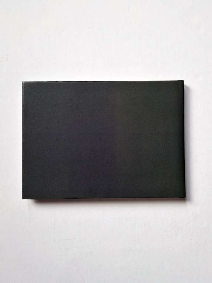 Sentimental Journey Spring Journey Nobuyoshi Araki 2