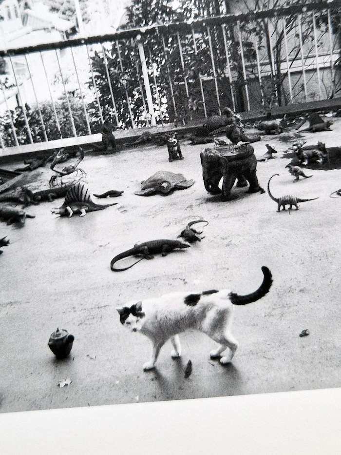 Sentimental Journey Spring Journey Nobuyoshi Araki 20