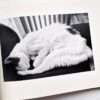 Sentimental Journey Spring Journey Nobuyoshi Araki 5