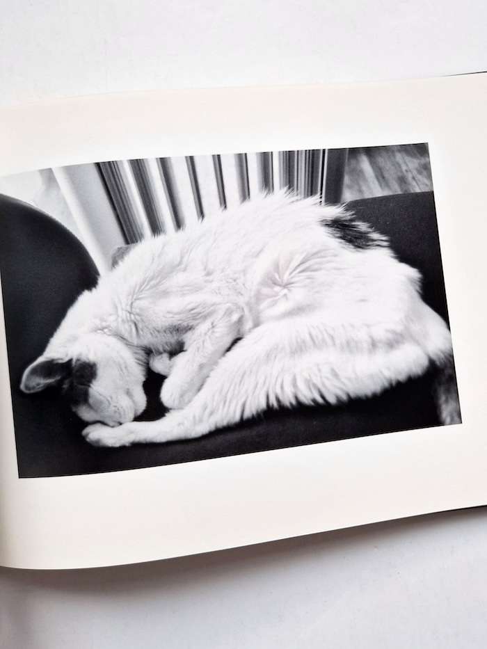 Sentimental Journey Spring Journey Nobuyoshi Araki 5