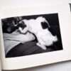 Sentimental Journey Spring Journey Nobuyoshi Araki 8