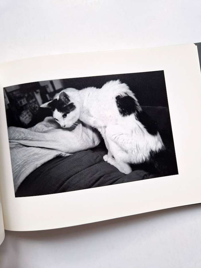 Sentimental Journey Spring Journey Nobuyoshi Araki 8
