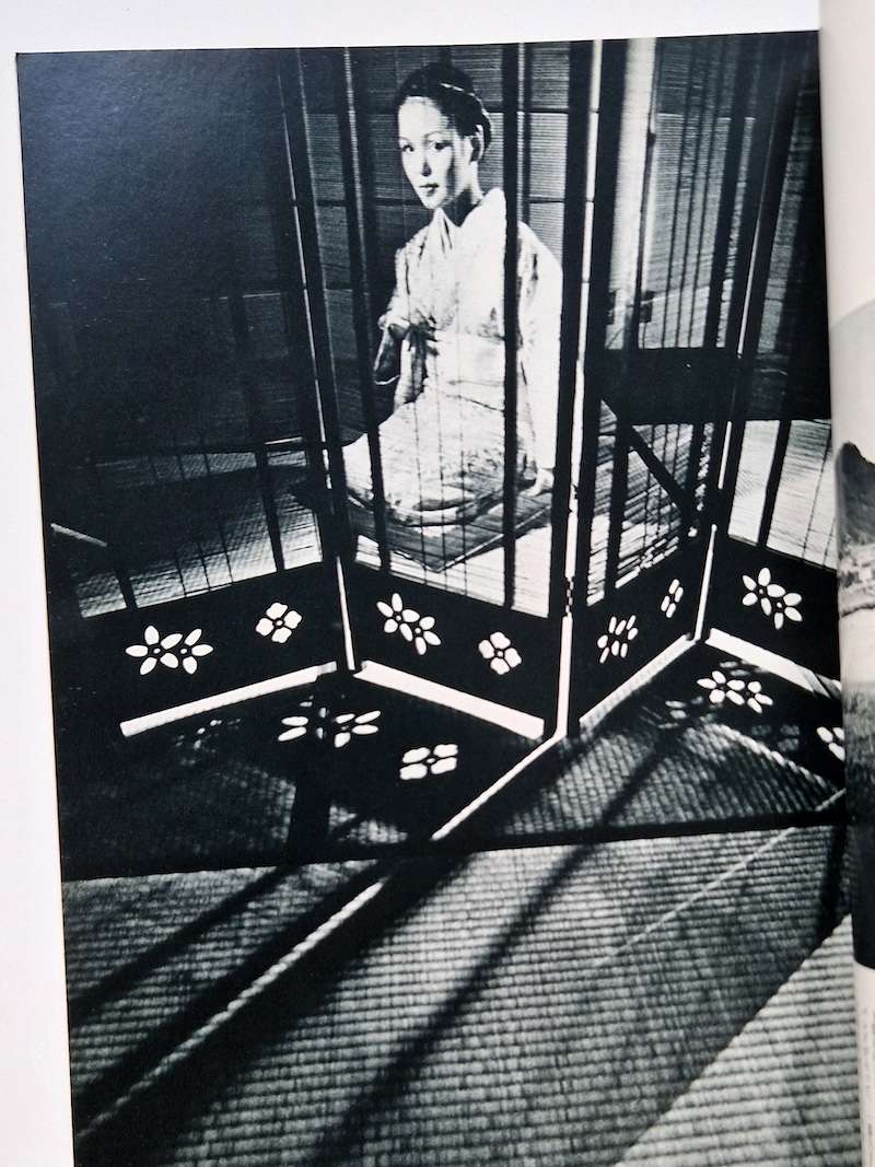 Genshoku no Onna Document Otani Eiko 4