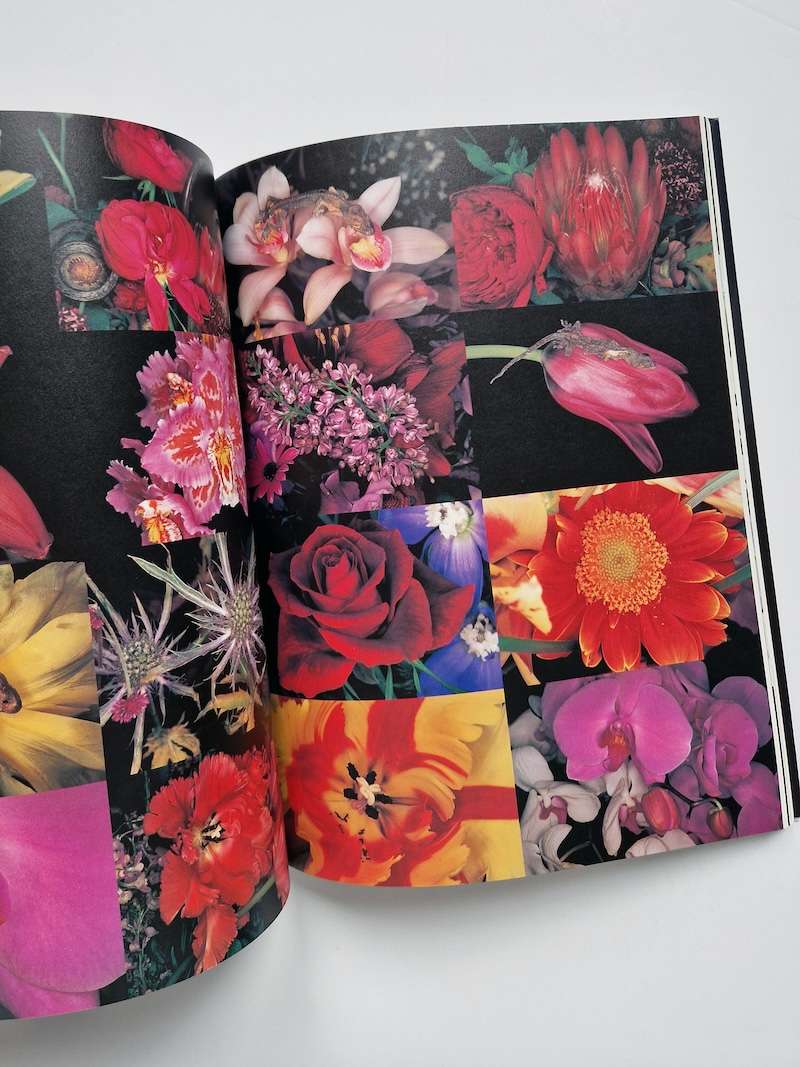 Hana Jinsei Nobuyoshi Araki 1