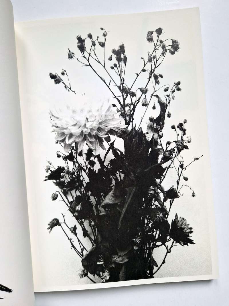 Hana Jinsei Nobuyoshi Araki 11