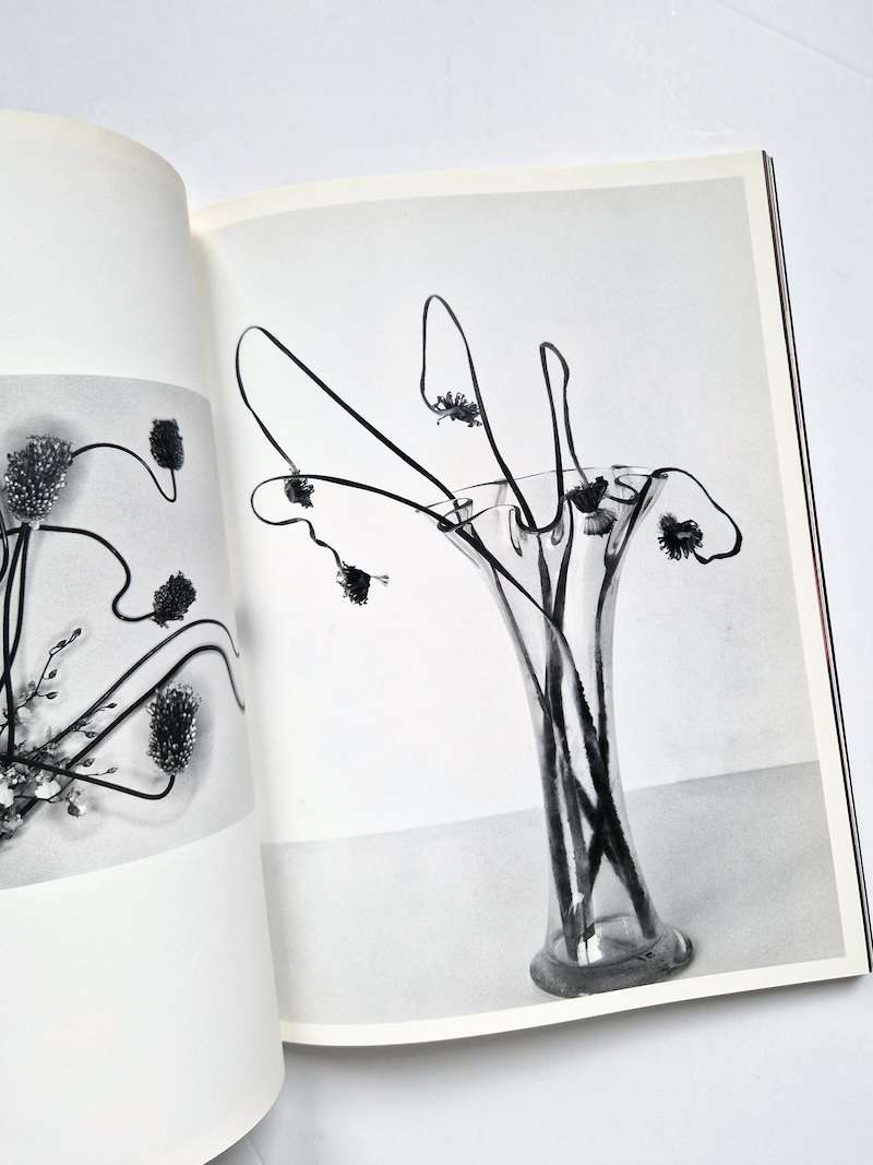 Hana Jinsei Nobuyoshi Araki 3