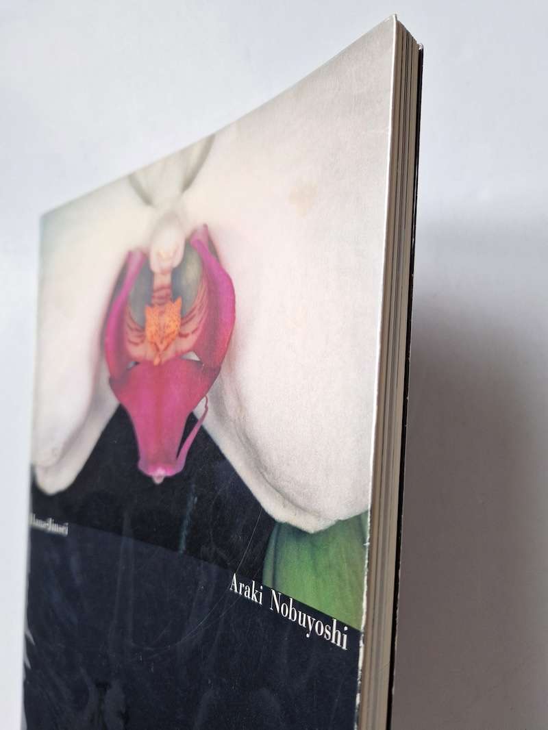 Hana Jinsei Nobuyoshi Araki 7