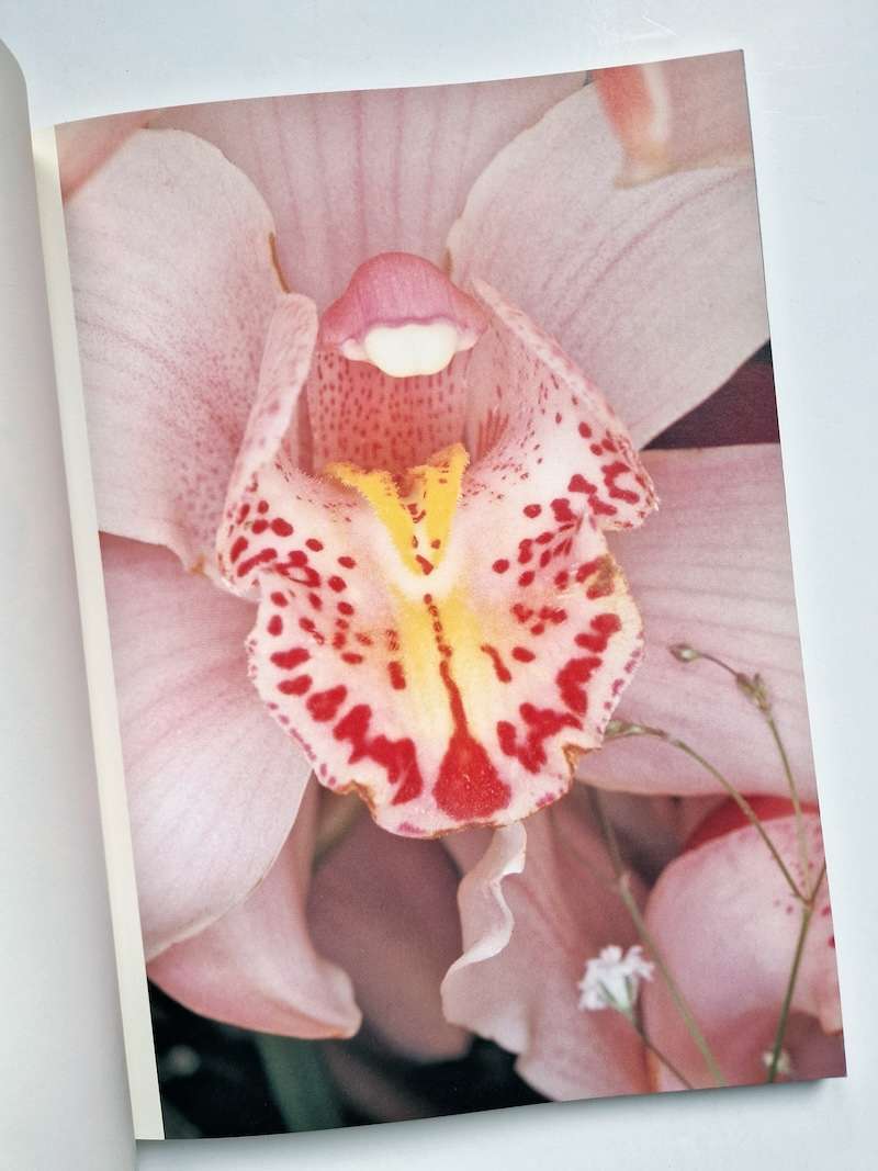 Hana Jinsei Nobuyoshi Araki 9