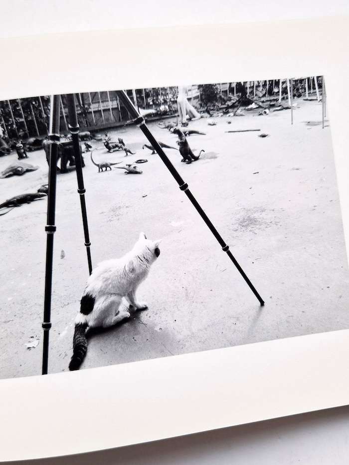 Sentimental Journey Spring Journey Nobuyoshi Araki 10