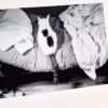 Sentimental Journey Spring Journey Nobuyoshi Araki 11