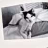 Sentimental Journey Spring Journey Nobuyoshi Araki 12