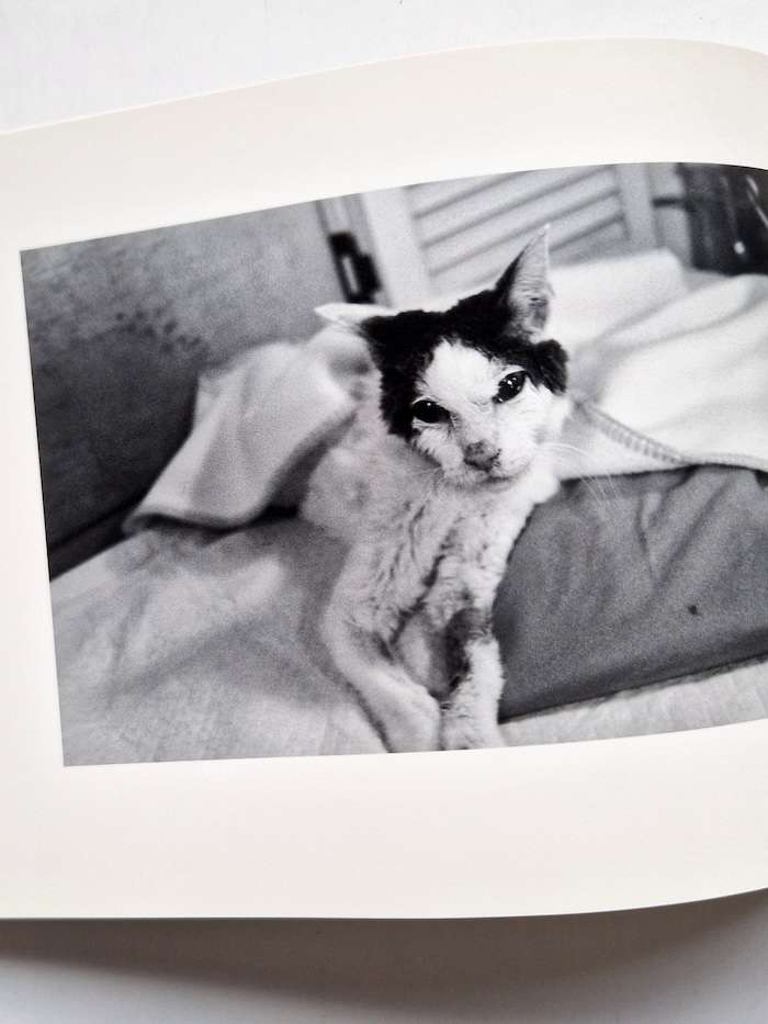 Sentimental Journey Spring Journey Nobuyoshi Araki 12