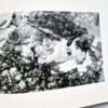 Sentimental Journey Spring Journey Nobuyoshi Araki 17