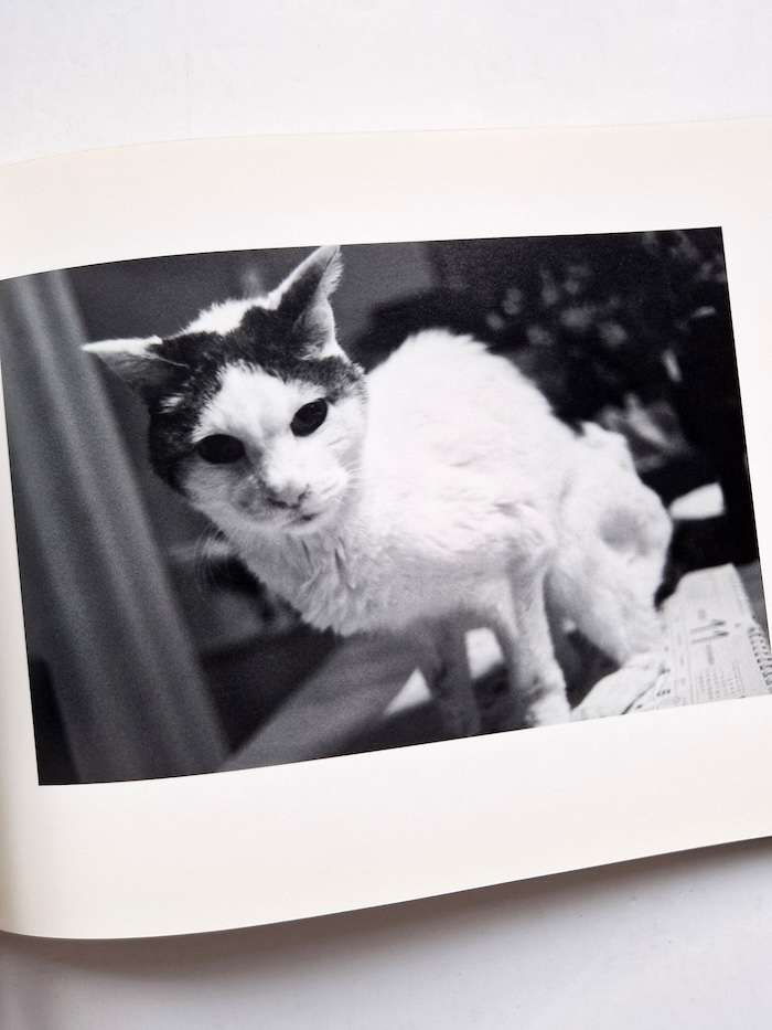 Sentimental Journey Spring Journey Nobuyoshi Araki 6