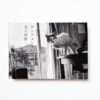 Sentimental Journey Spring Journey Nobuyoshi Araki cover