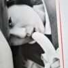 The Works of Nobuyoshi Araki 5 Chrysalis 13 The Works of Nobuyoshi Araki 5 Chrysalis 13